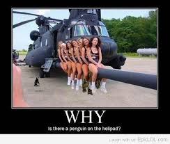 WHY Is there a penguin on the helipad? / penguin :: girls :: helicopter ::  demotivation :: funny pictures / funny pictures & best jokes: comics,  images, video, humor, gif animation - i lol'd