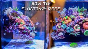 Typically, an aquascape houses fish as well as plants, although it is possible to create an aquascape with plants only, or with rockwork or other hardscape. Reef Aquascapes Floating Reef Tank How To Setup Nano Aquarium Youtube