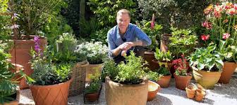 Best Plants For Pots Home Garden