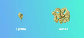 how many grams are in an ounce of cans