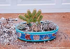 How To Make An Indoor Cactus Garden