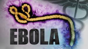 The accident at the secret facility mole 529 where various viruses and vaccines against them were developed. Can You Get The Ebola Virus From A Swimming Pool Or Hot Tub