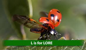 all about ladybugs organic control inc