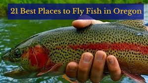 This page will help you learn more about the different fisheries and choose the one that is right a booklet written for the travelling angler including some of tasmania most easily accessed trout fisheries. 21 Places To Fly Fish In Oregon Maps Included Guide Recommended