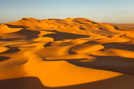 Hasil carian imej untuk gambar pasir gurun