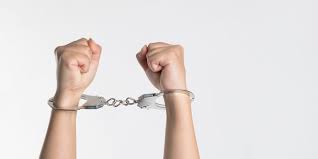 How to use lawyer in a sentence. Arrest Definition And What To Do When Arrested Clark Sears Law