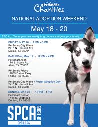 Pet adoption and dog adoption in dallas to rescue adoptable dogs and puppies in dallas from animal shelters and animal control facilities. Event Calendar Spca Of Texas
