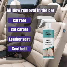 mold and mildew remover spray instant