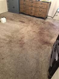 top notch carpet upholstery cleaning
