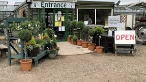 The Best Independent Garden Centres And