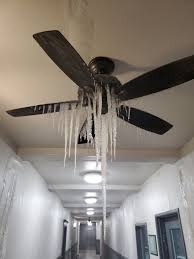 This ceiling fan has a three speed pull switch, and a forward/reverse switch on the top part of the motor housing. Icicles Hanging From A Ceiling Fan A Frosted Cactus Texas Is Frozen In Surreal Photos