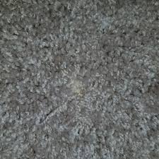 carpet s near west seneca ny
