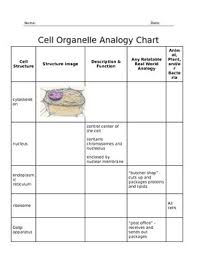 Organelle And Cell Structure Analogy Chart