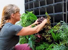 Florafelt Living Wall Systems