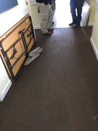 gallery adc carpet cleaning