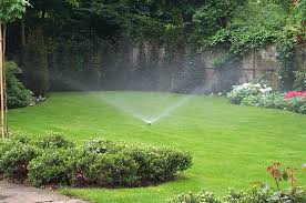 domestic garden landscape irrigation