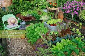 mini kitchen garden stock photo by