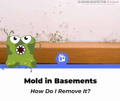 Get Rid Of Black Mold In Basement