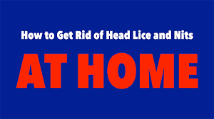 home head lice remes getting rid