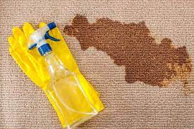carpet cleaning news updates