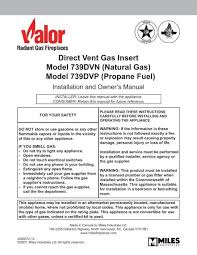 Direct Vent Gas Insert Model 739dvn