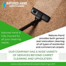 best carpet cleaner prior lake