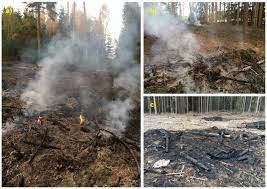 fire affected forest soil