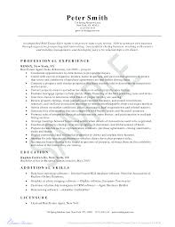 Real Estate Agent Resume Templates At