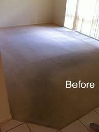 professional carpet cleaning gold coast