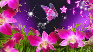 48 beautiful erflies and flowers