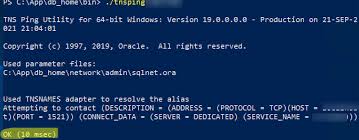 sql developer use tnsnames ora file