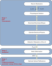 Flow Chart Of Pipeline Used To Model The Optrode Devices