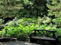 Friends of Laurelwood Arboretum Launches New Donate-a-Bench Program –  laurelwoodarboretum.org