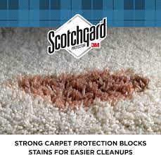 scotchgard rug carpet protector 1