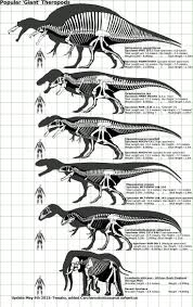 Size Chart For Various Prehistoric Creatures Along With The