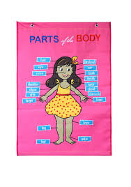 Parts Of The Body Girl Cloth Chart