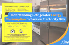 understanding refrigerator energy