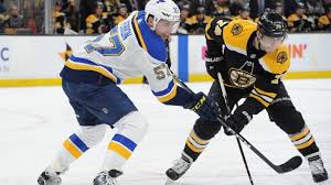 Image result for stanley cup 2019