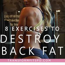 exercises to get rid of lower back fat