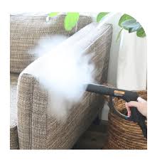 carpet sofa rug cleaning services