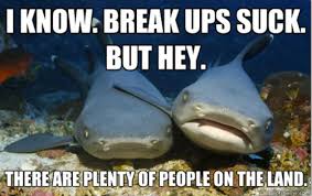 Compassionate-Shark-friend-meme.png via Relatably.com