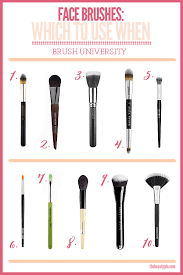 face brushes with makeup brushes 101