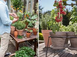 Increase Biodiversity In Your Garden