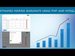 Create Dynamic Morris Bar Chart In Php Mysql Youtube