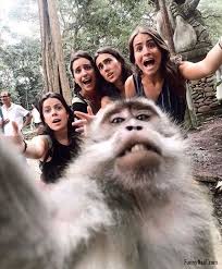 Amazing progress in just 6 weeks! Monkey Selfie Funny People Animal
