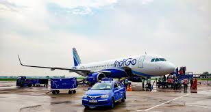 Indigo Airlines India Inflight Meals And Food Information