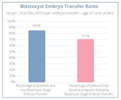 Blastocyst Transfer London Blastocyst Embryo Transfer London