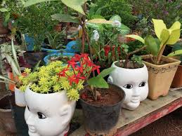 top ceramic pot dealers in bangalore