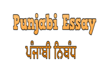 punjabi essay on internet ਇ ਟਰਨ ਟ
