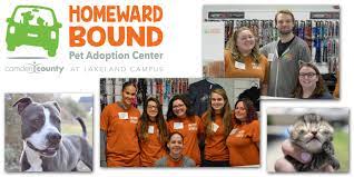 We rescue animals from local high kill shelters and from abandonment, then we help heal and comfort them and find them forever homes. Homeward Bound Pet Adoption Center Linkedin